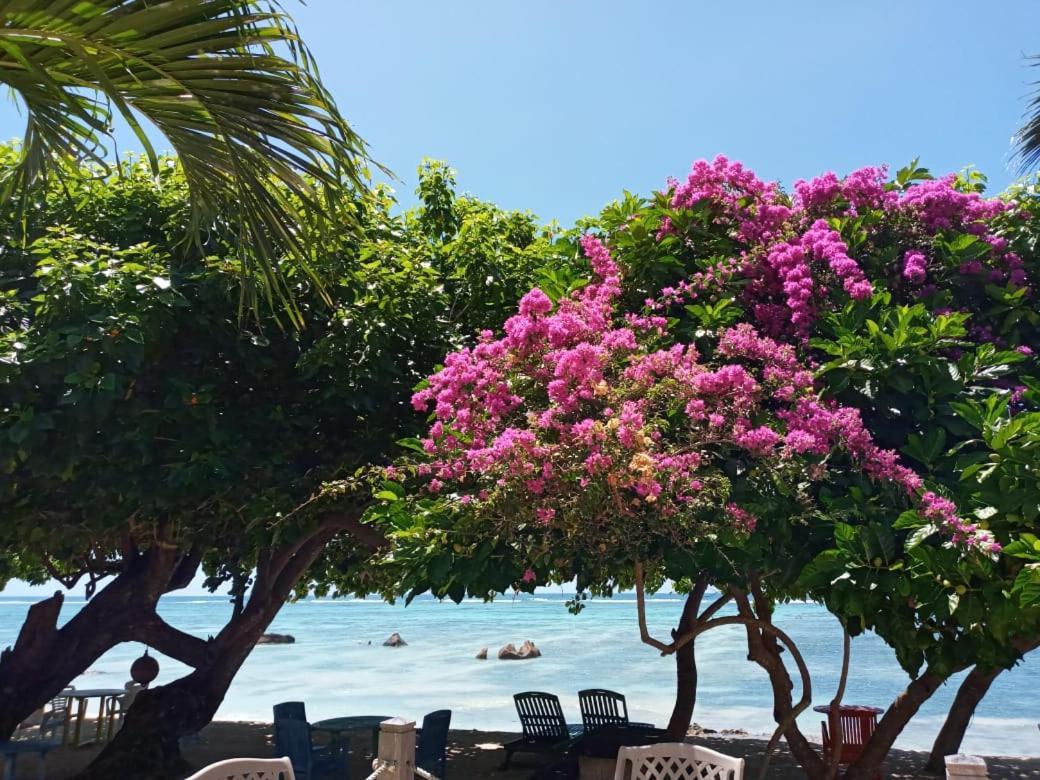 Crown Beach Hotel Seychelles Pointe Au Sel Exterior photo